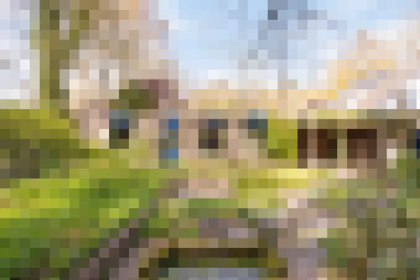 Sleedoorn 8 Geldrop thumbnail 63