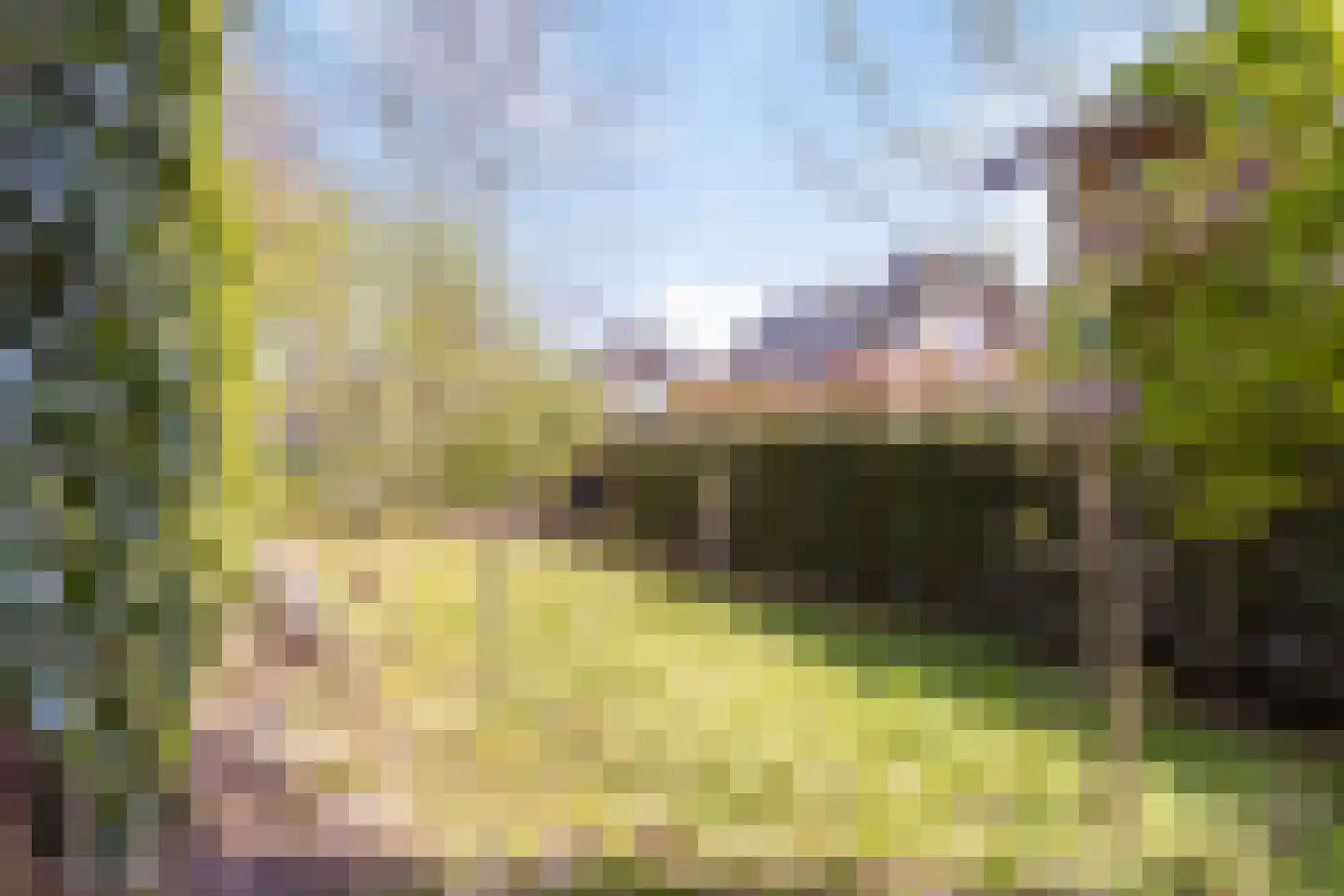 Sleedoorn 8 Geldrop thumbnail 64