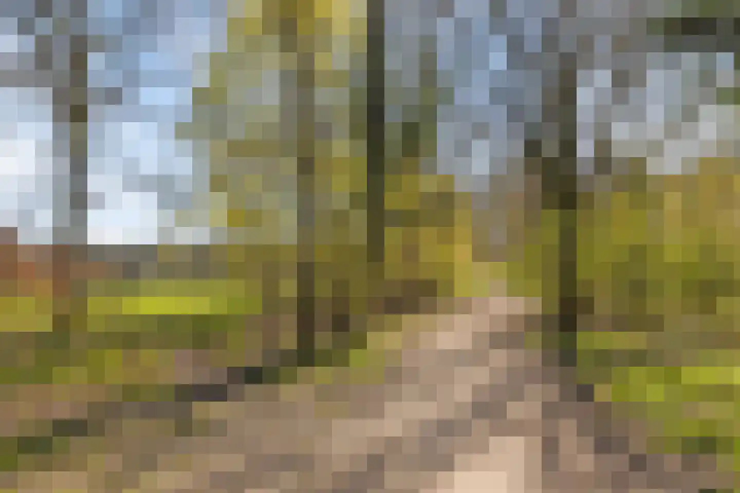 Sleedoorn 8 Geldrop thumbnail 65