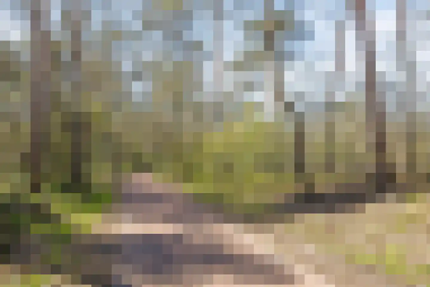 Sleedoorn 8 Geldrop thumbnail 66
