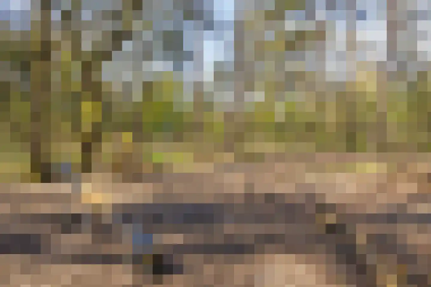 Sleedoorn 8 Geldrop thumbnail 68