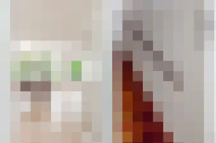 Sleedoorn 8 Odijk thumbnail 10