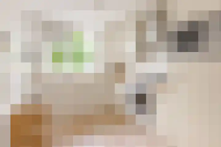 Sleedoorn 8 Odijk thumbnail 16