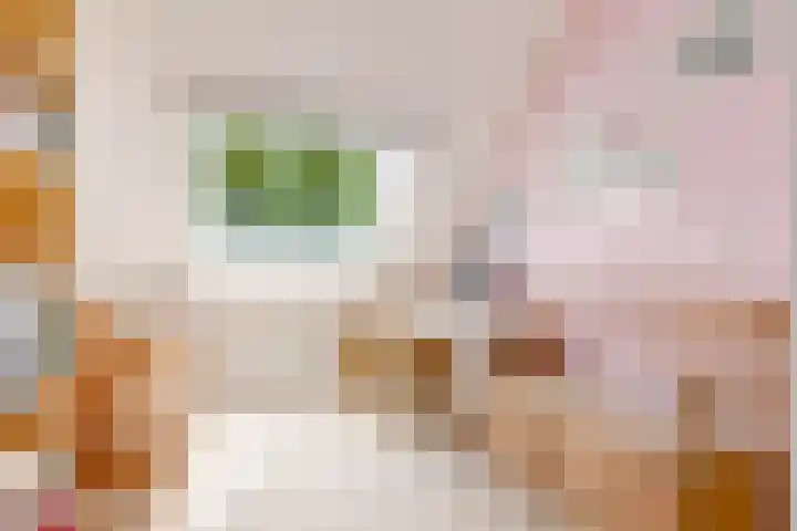 Sleedoorn 8 Odijk thumbnail 29