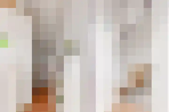 Sleedoorn 8 Odijk thumbnail 35