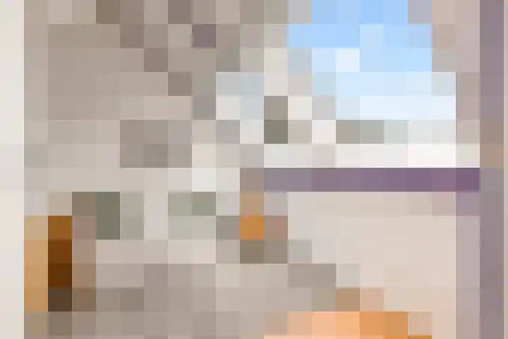 Sleedoorn 8 Odijk thumbnail 37