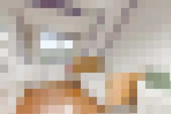 Sleedoorn 8 Odijk thumbnail 38