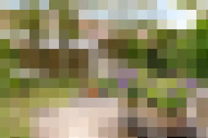 Sleedoorn 8 Odijk thumbnail 4