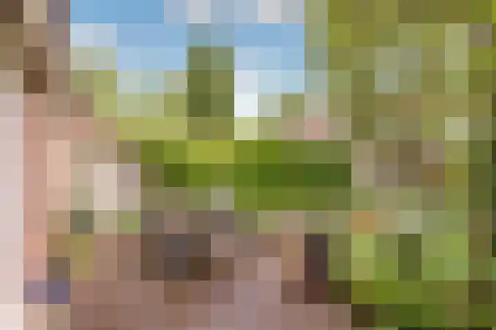 Sleedoorn 8 Odijk thumbnail 41