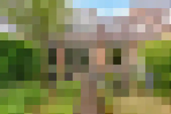 Sleedoorn 8 Odijk thumbnail 45
