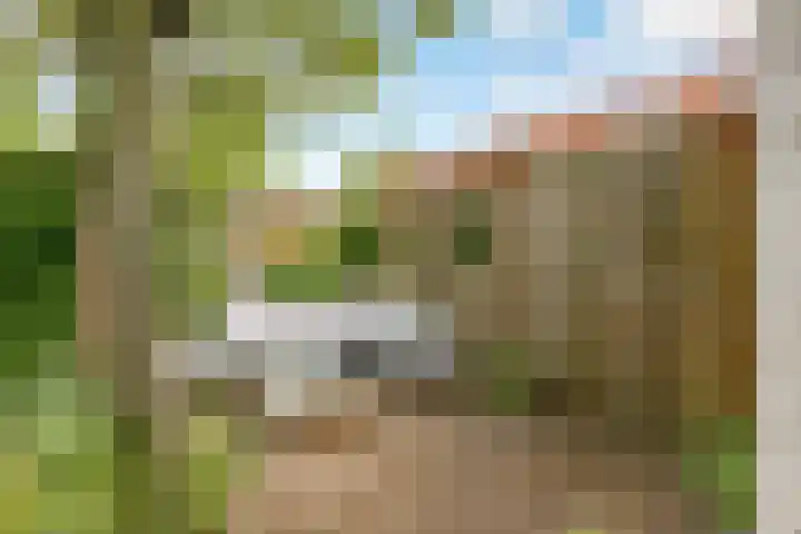 Sleedoorn 8 Odijk thumbnail 47