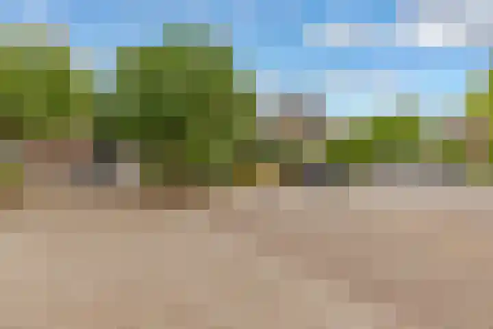Sleedoorn 8 Odijk thumbnail 49