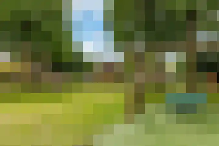 Sleedoorn 8 Odijk thumbnail 5
