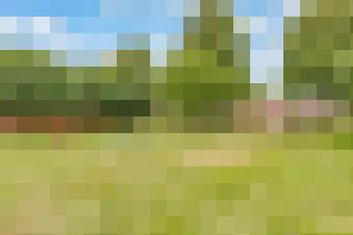 Sleedoorn 8 Odijk thumbnail 50