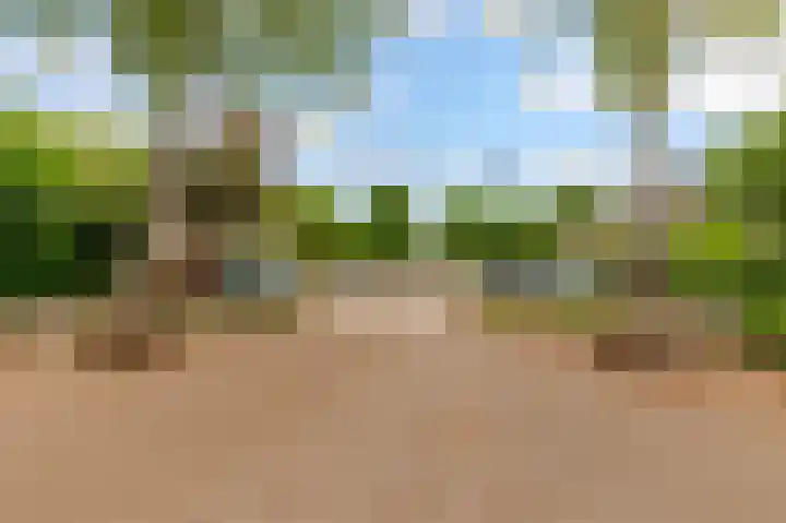 Sleedoorn 8 Odijk thumbnail 54