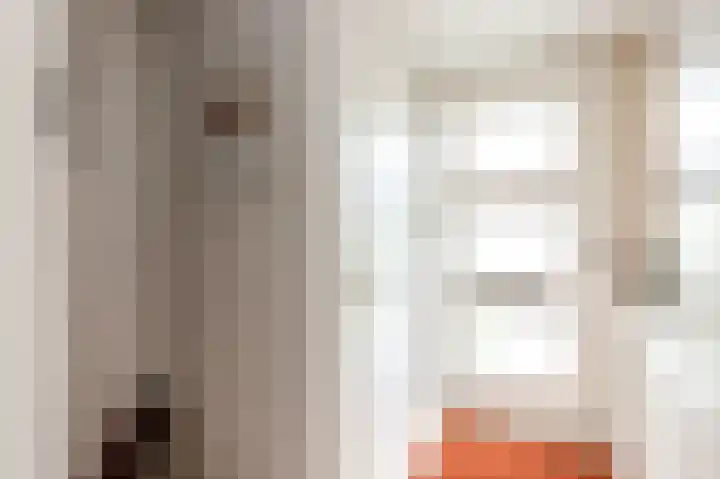 Sleedoorn 8 Odijk thumbnail 9