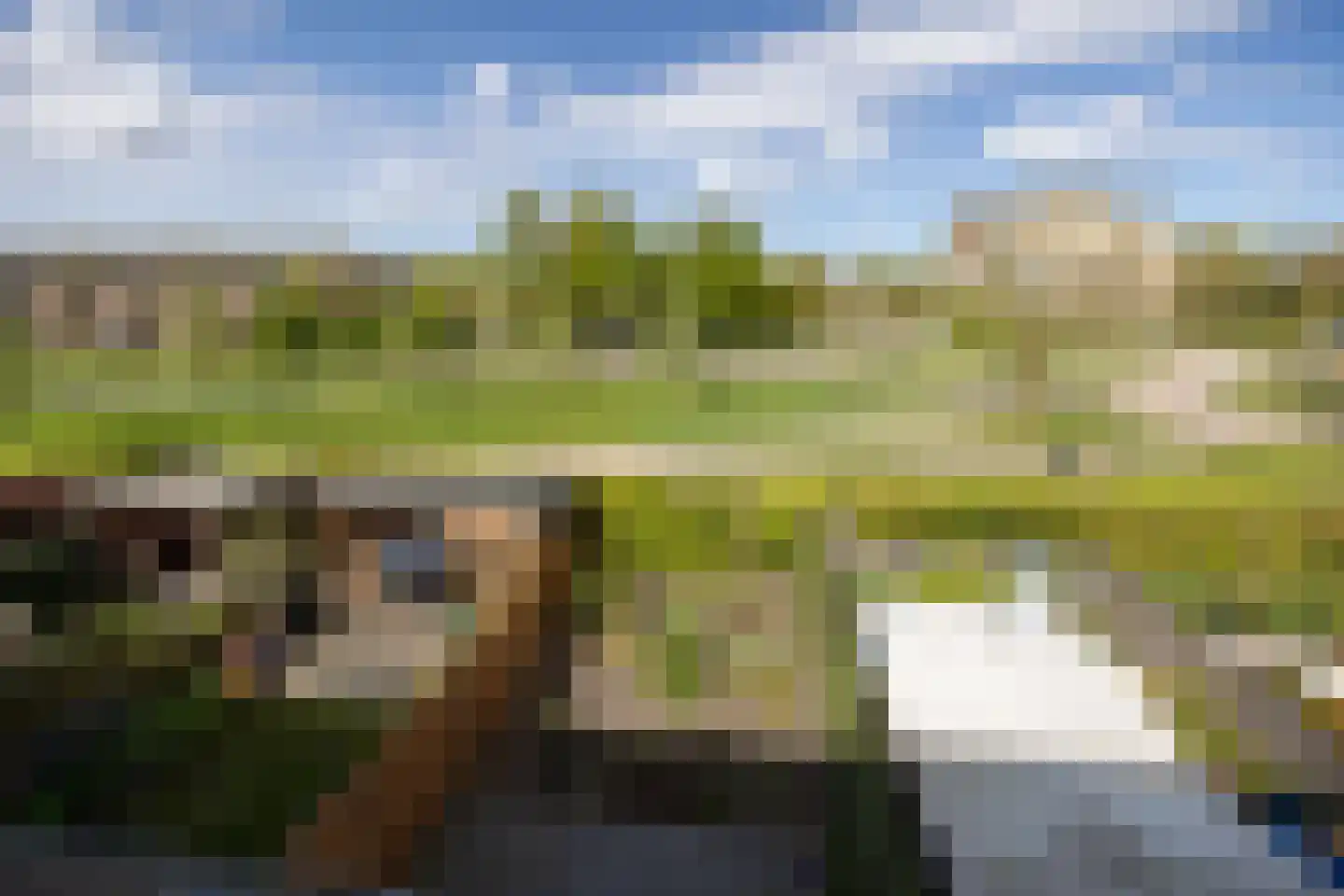 Sleedoornhof 14 Leusden thumbnail 27