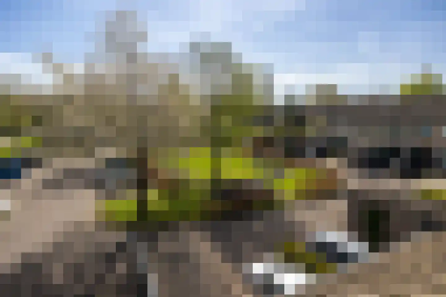 Sleedoornhof 14 Leusden thumbnail 28