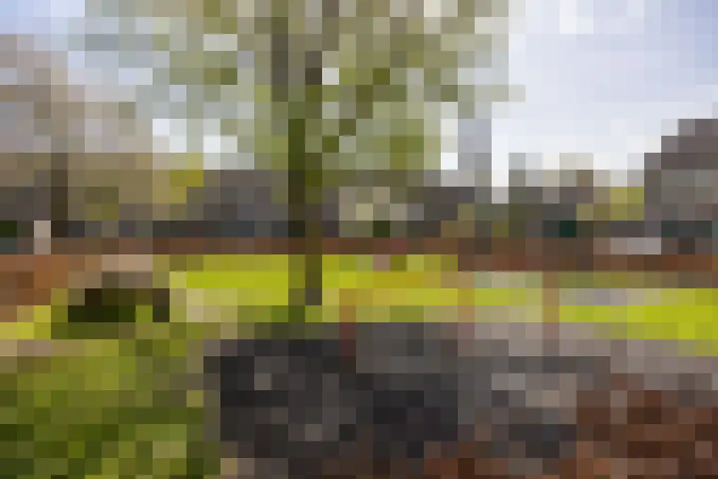 Sleedoornhof 14 Leusden thumbnail 29