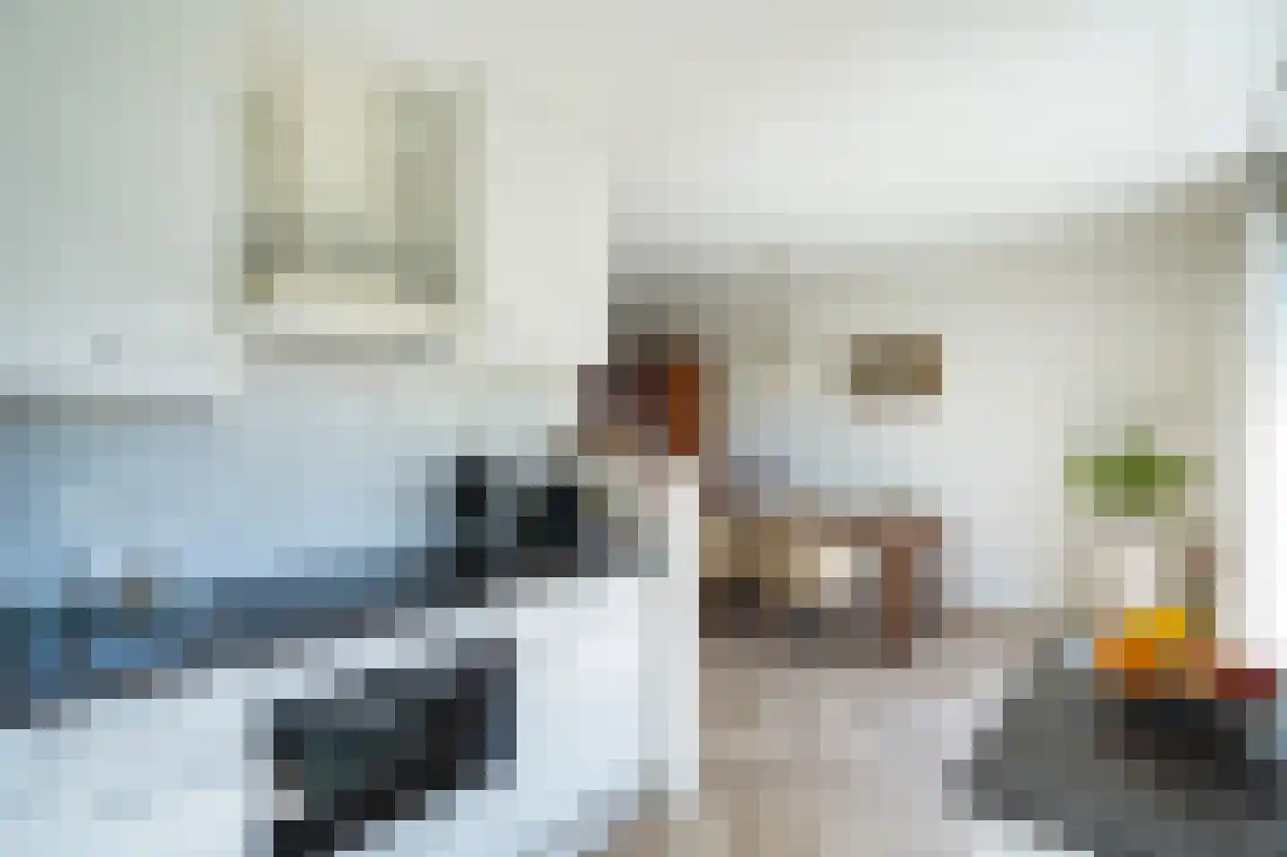 Sleedoornhof 2 Papendrecht thumbnail 11