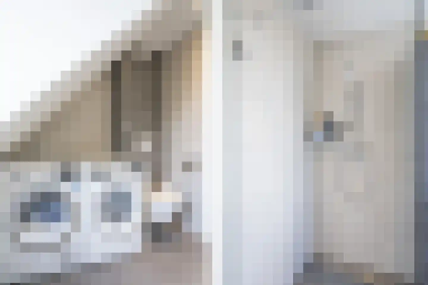 Sleedoornhof 2 Papendrecht thumbnail 20