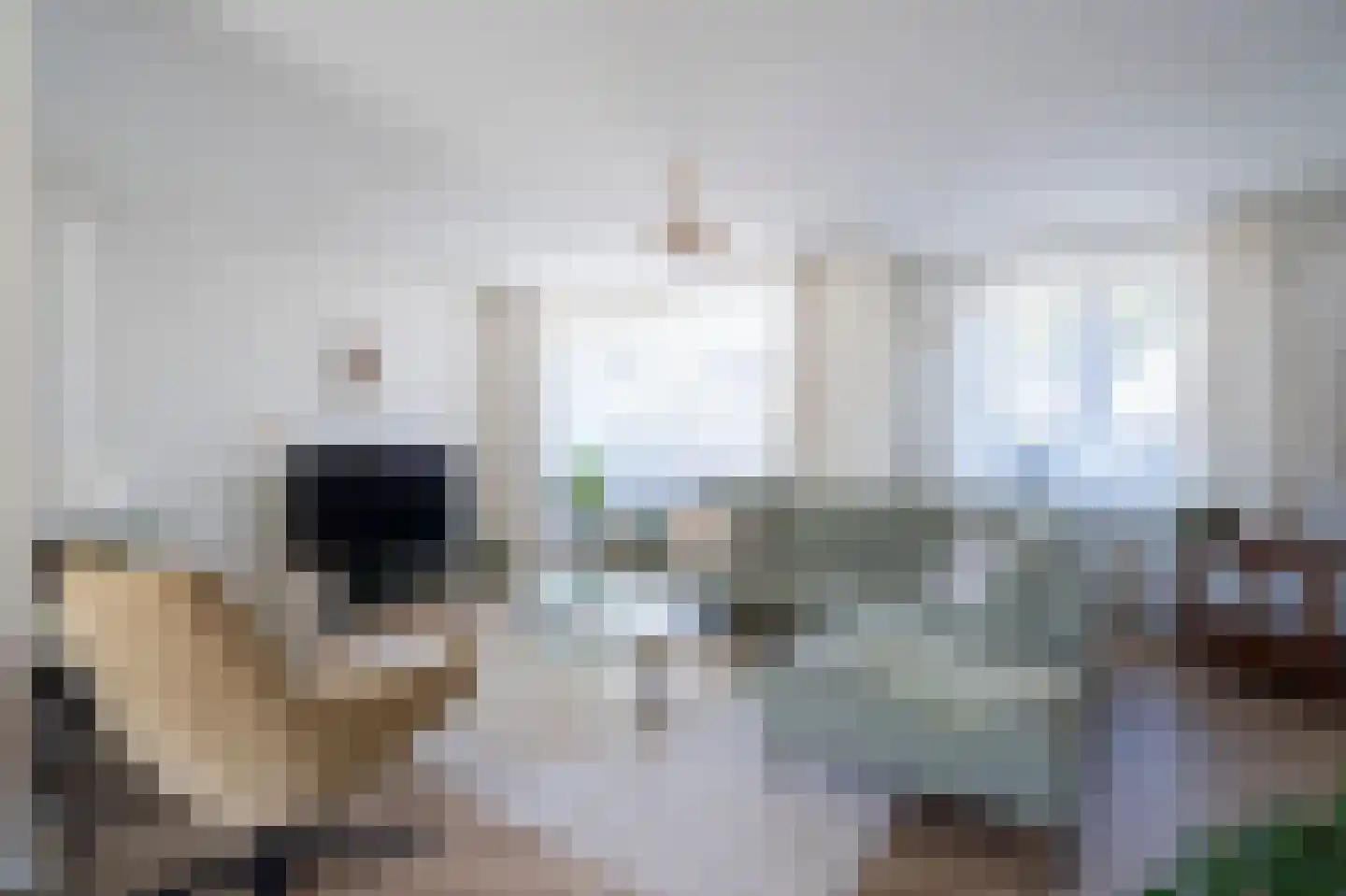 Sleedoornhof 2 Papendrecht thumbnail 7