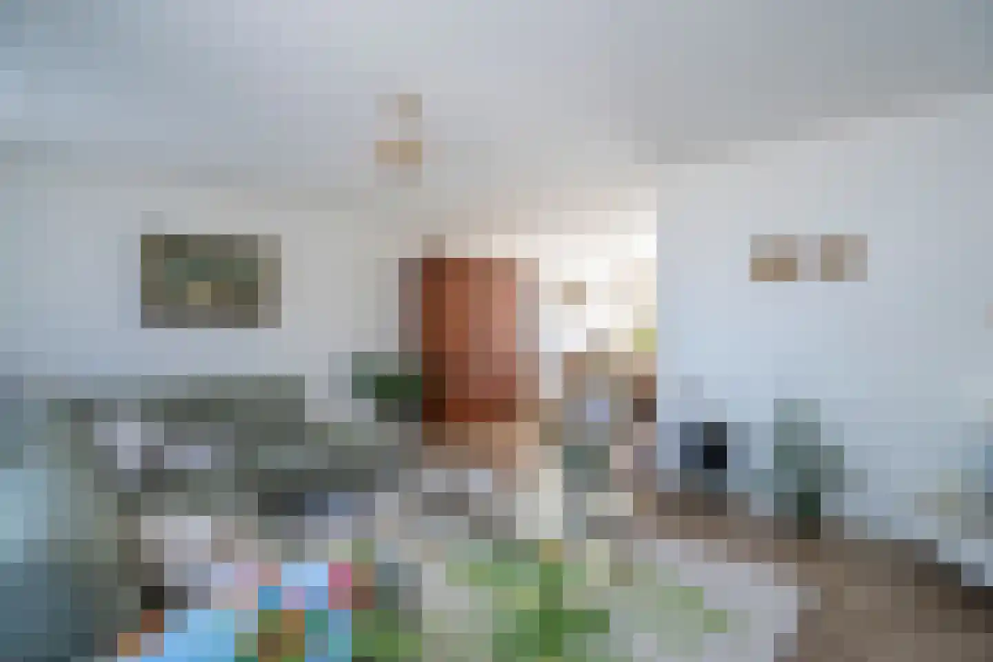 Sleedoornhof 2 Papendrecht thumbnail 8