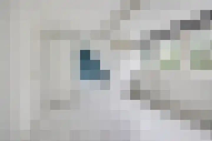 Sleedoornhof 26 Leusden thumbnail 18