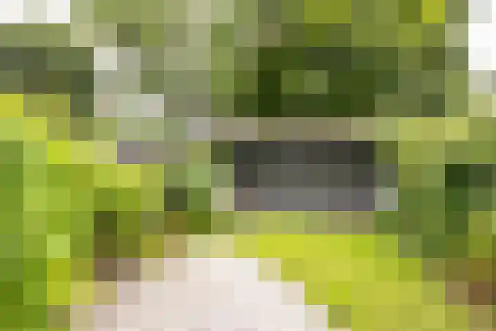 Sleedoornhof 26 Leusden thumbnail 27