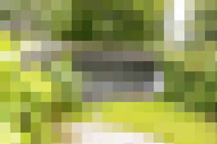 Sleedoornhof 26 Leusden thumbnail 28