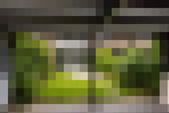 Sleedoornhof 26 Leusden thumbnail 29