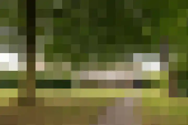 Sleedoornhof 26 Leusden thumbnail 32