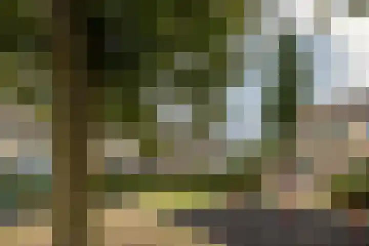 Sleedoornhof 26 Leusden thumbnail 33