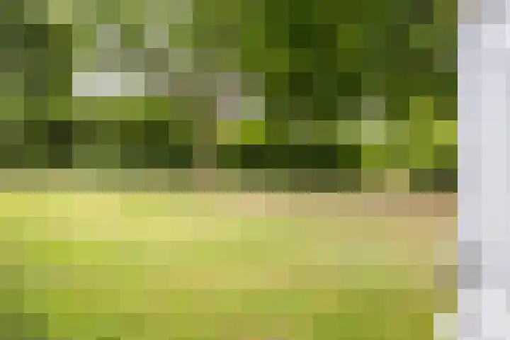 Sleedoornhof 26 Leusden thumbnail 34