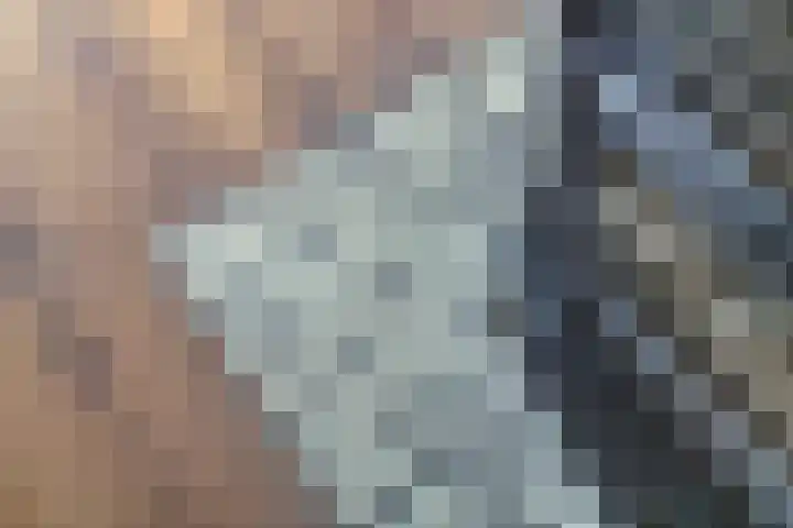 Sleedoornhof 6 Krimpen aan den IJssel thumbnail 15
