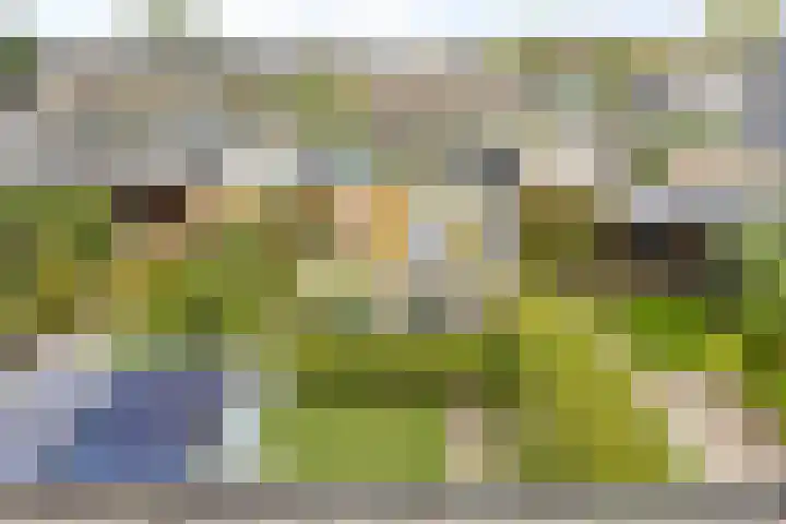 Sleedoornhof 6 Krimpen aan den IJssel thumbnail 33