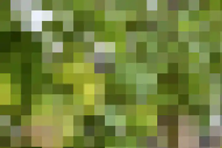 Sleedoornhof 6 Krimpen aan den IJssel thumbnail 37