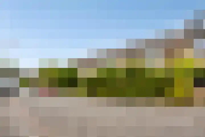Sleedoornhof 6 Krimpen aan den IJssel thumbnail 5