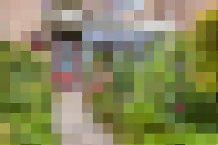 Sleedoornhof 6 Krimpen aan den IJssel thumbnail 7
