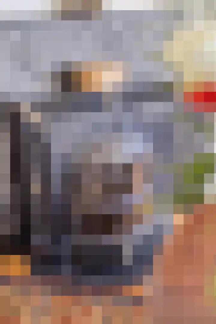 Sleedoornlaan 12 Arnhem thumbnail 18