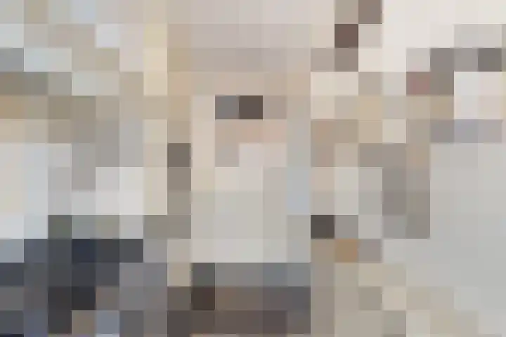 Sleedoornlaan 12 Arnhem thumbnail 25