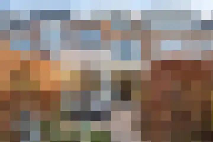 Sleedoornlaan 12 Arnhem thumbnail 28