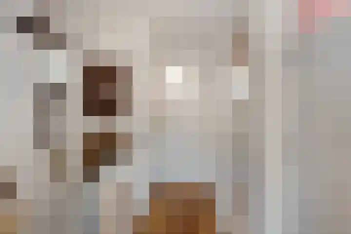 Sleedoornlaan 12 Arnhem thumbnail 31