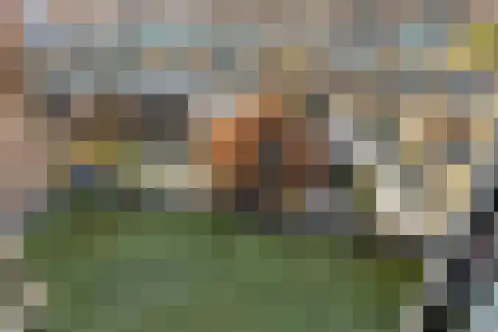 Sleedoornlaan 12 Arnhem thumbnail 37