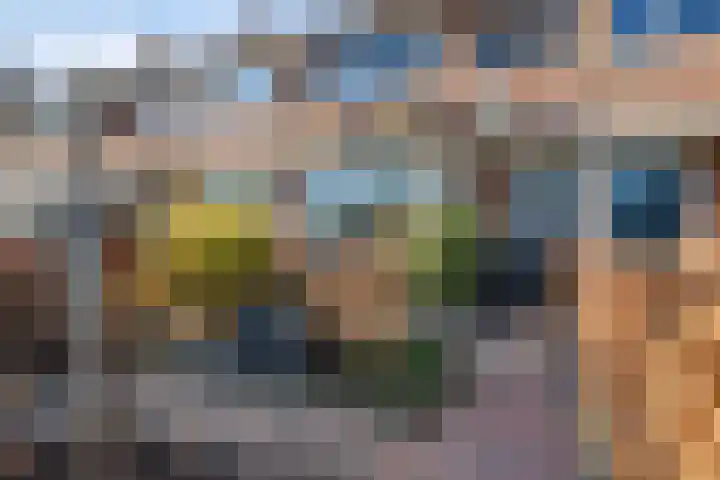 Sleedoornlaan 12 Arnhem thumbnail 5