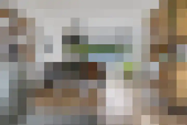Sleedoornlaan 14 Zuidlaren thumbnail 10