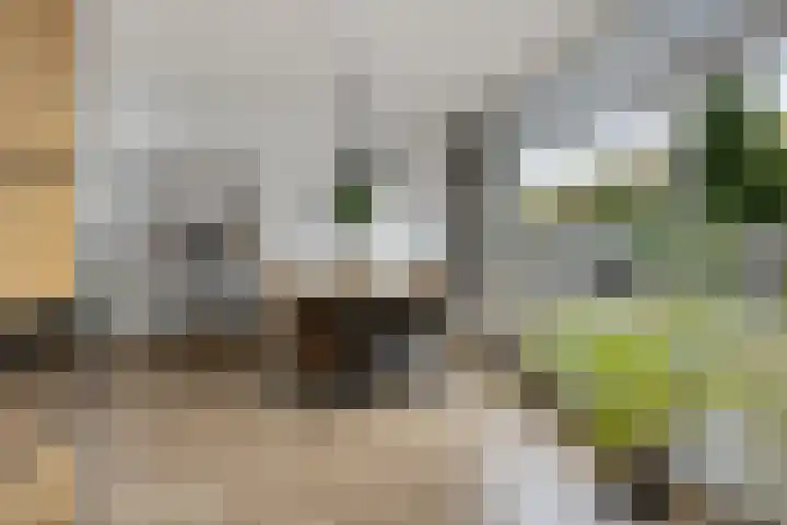 Sleedoornlaan 14 Zuidlaren thumbnail 11