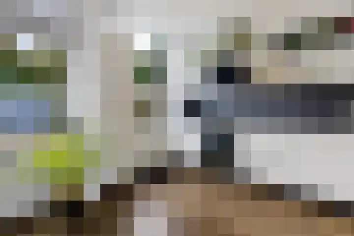 Sleedoornlaan 14 Zuidlaren thumbnail 12