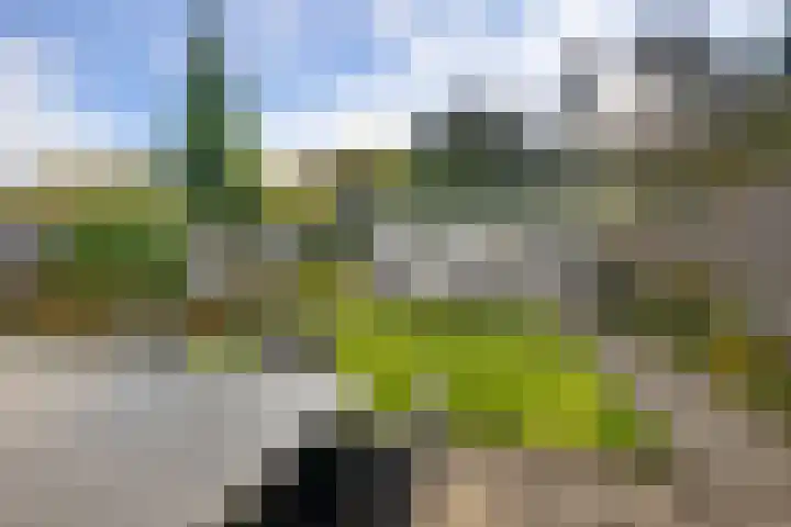 Sleedoornlaan 14 Zuidlaren thumbnail 15
