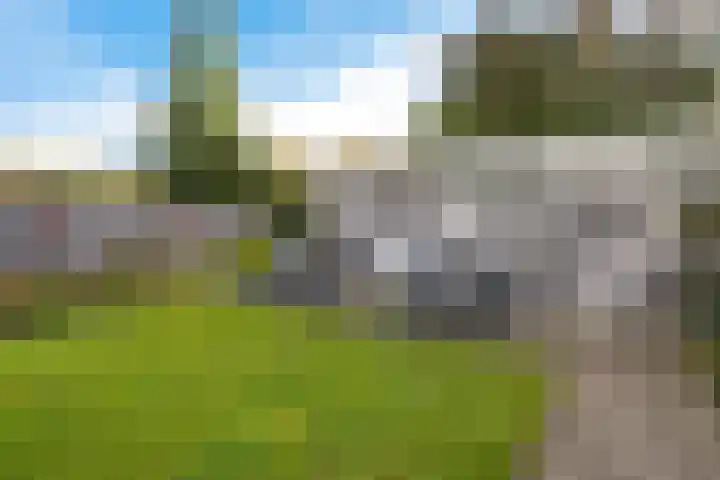 Sleedoornlaan 14 Zuidlaren thumbnail 16